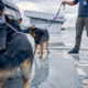 Illegal Searches in Criminal Defense
