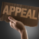 How to Appeal a Criminal Conviction in Virginia: Steps and Strategies